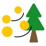 花粉症はつらいですね！外出時の花粉症予防