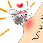 蚊はウィルスを運ぶことがあります