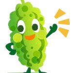 ゴーヤーの話　夏に欠かせない食材