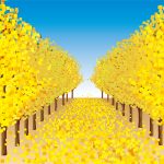 秋も深まり街路樹が紅葉し始めました