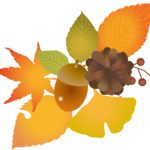 紅葉のライトアップ岩屋堂