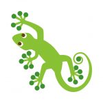 今年もヤモリが我が家に来ています