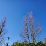 この冬は寒くなりそうですね